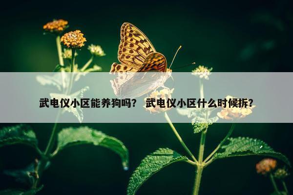 武电仪小区能养狗吗？ 武电仪小区什么时候拆？