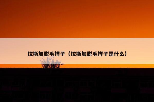 拉斯加脱毛样子（拉斯加脱毛样子是什么）