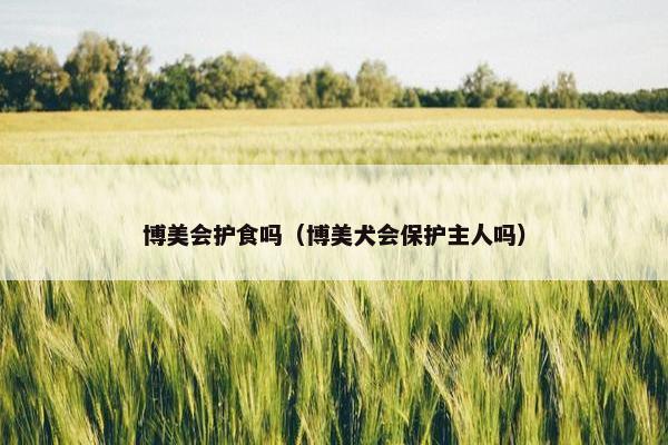 博美会护食吗（博美犬会保护主人吗）