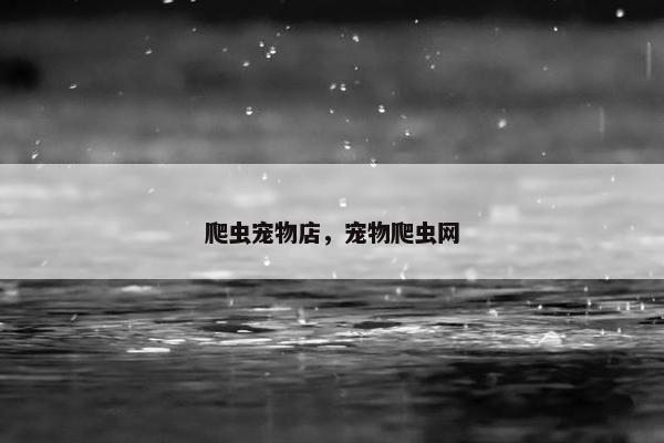 爬虫宠物店，宠物爬虫网