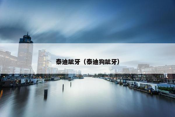 泰迪龇牙（泰迪狗龇牙）