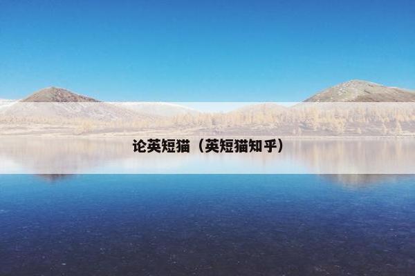 论英短猫（英短猫知乎）