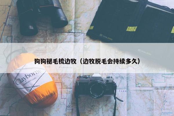 狗狗褪毛梳边牧（边牧脱毛会持续多久）