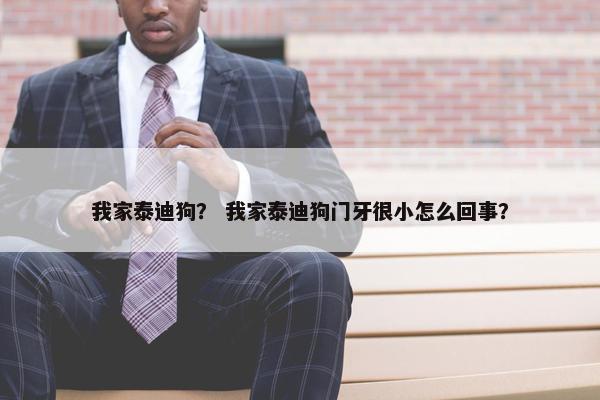 我家泰迪狗？ 我家泰迪狗门牙很小怎么回事？
