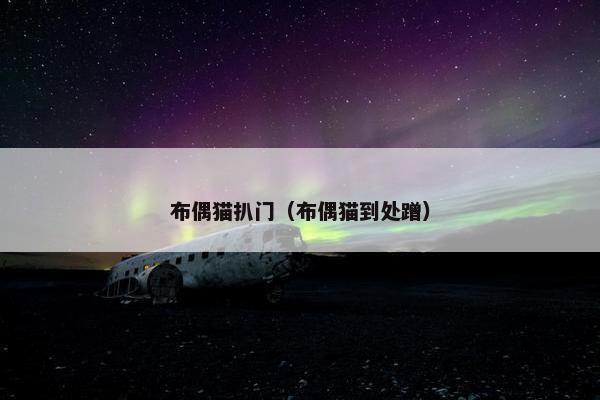 布偶猫扒门（布偶猫到处蹭）