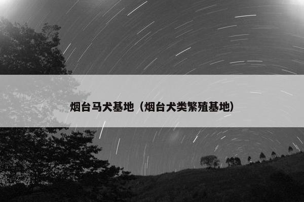 烟台马犬基地（烟台犬类繁殖基地）