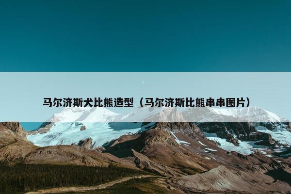 马尔济斯犬比熊造型（马尔济斯比熊串串图片）