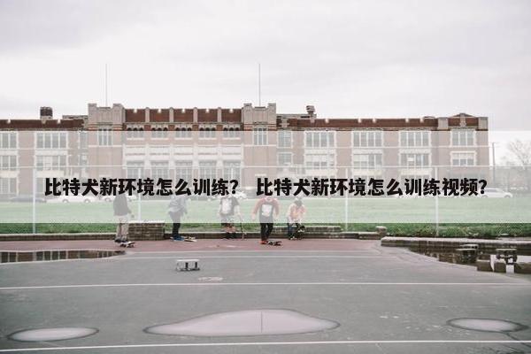 比特犬新环境怎么训练？ 比特犬新环境怎么训练视频？
