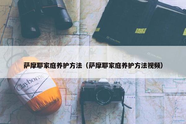 萨摩耶家庭养护方法（萨摩耶家庭养护方法视频）