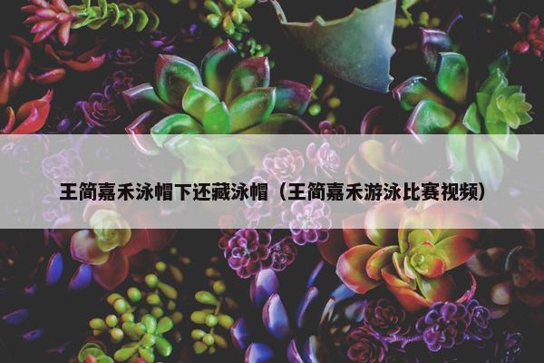 王简嘉禾泳帽下还藏泳帽（王简嘉禾游泳比赛视频）