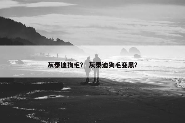 灰泰迪狗毛？ 灰泰迪狗毛变黑？