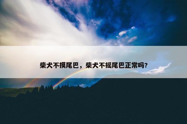 柴犬不摸尾巴，柴犬不摇尾巴正常吗?