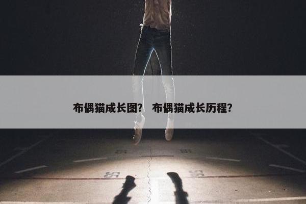 布偶猫成长图？ 布偶猫成长历程？