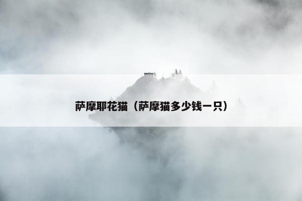 萨摩耶花猫（萨摩猫多少钱一只）