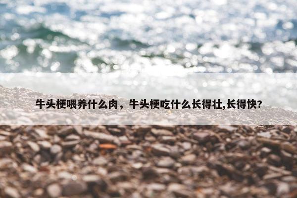 牛头梗喂养什么肉，牛头梗吃什么长得壮,长得快?