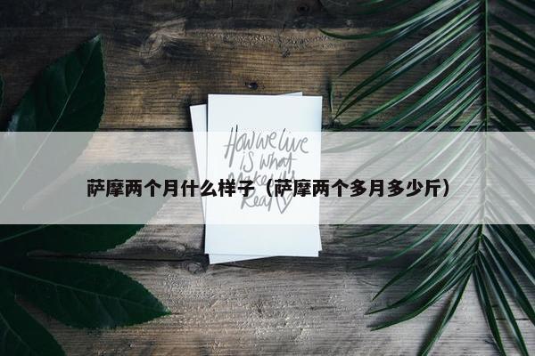 萨摩两个月什么样子（萨摩两个多月多少斤）