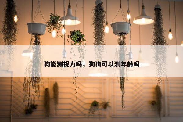 狗能测视力吗，狗狗可以测年龄吗
