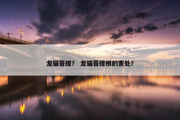 龙猫菩提？ 龙猫菩提根的害处？