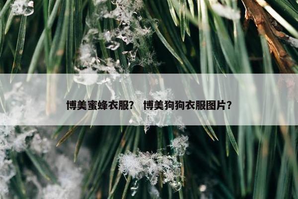 博美蜜蜂衣服？ 博美狗狗衣服图片？