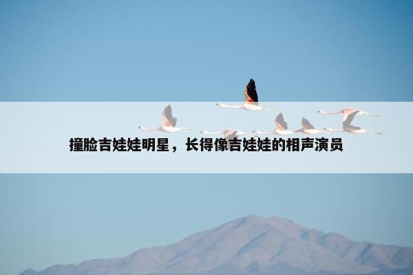 撞脸吉娃娃明星，长得像吉娃娃的相声演员