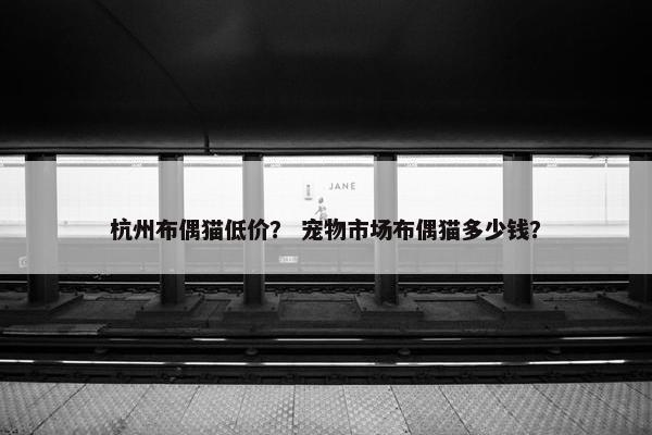 杭州布偶猫低价？ 宠物市场布偶猫多少钱？