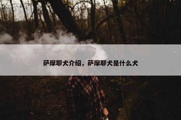 萨摩耶犬介绍，萨摩耶犬是什么犬