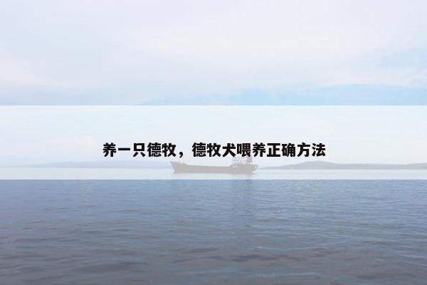 养一只德牧，德牧犬喂养正确方法