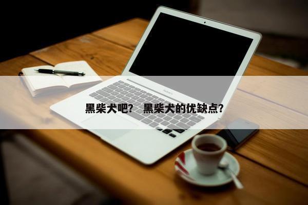 黑柴犬吧？ 黑柴犬的优缺点？