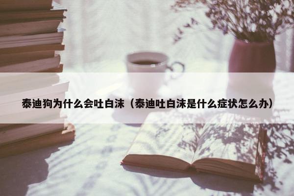 泰迪狗为什么会吐白沫（泰迪吐白沫是什么症状怎么办）