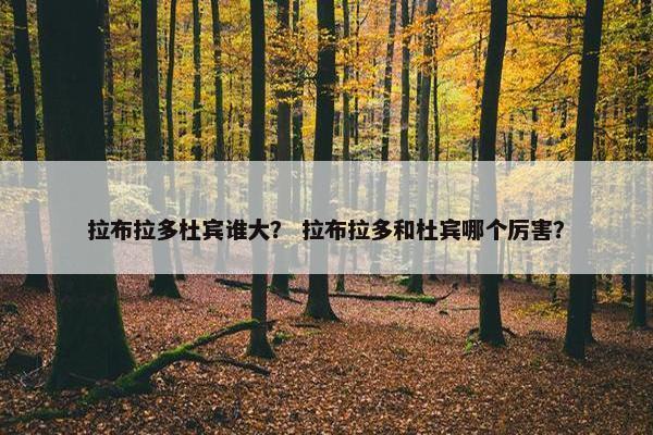 拉布拉多杜宾谁大？ 拉布拉多和杜宾哪个厉害？