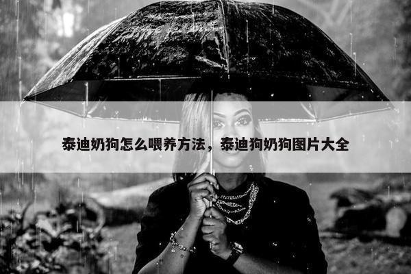 泰迪奶狗怎么喂养方法，泰迪狗奶狗图片大全