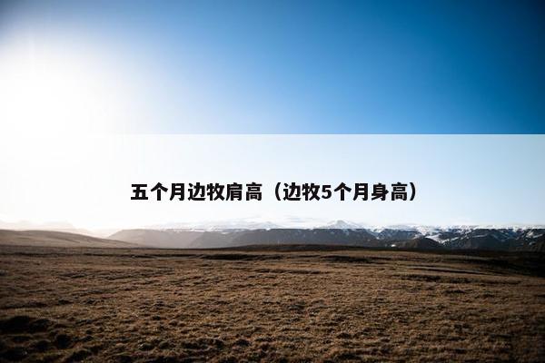 五个月边牧肩高（边牧5个月身高）