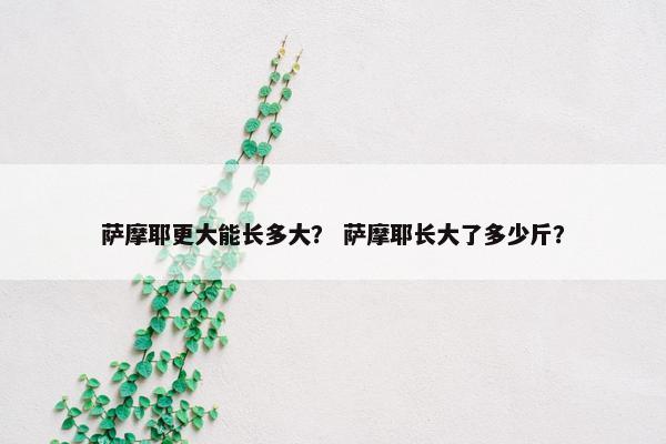 萨摩耶更大能长多大？ 萨摩耶长大了多少斤？