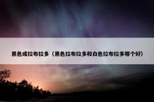 黑色或拉布拉多（黑色拉布拉多和白色拉布拉多哪个好）