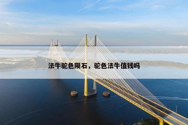 法牛驼色陨石，驼色法牛值钱吗