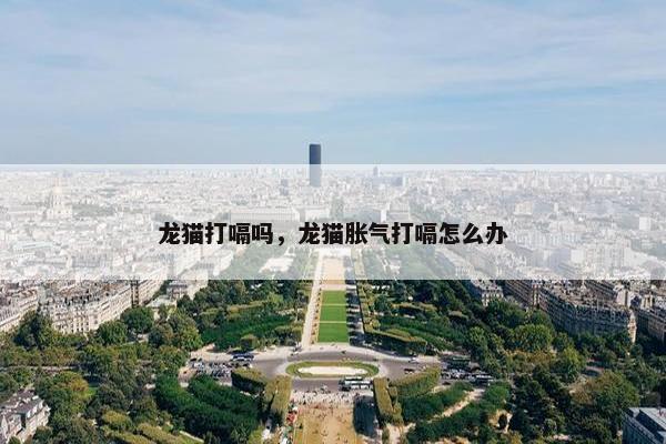 龙猫打嗝吗，龙猫胀气打嗝怎么办