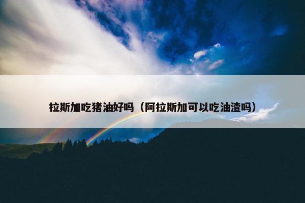 拉斯加吃猪油好吗（阿拉斯加可以吃油渣吗）