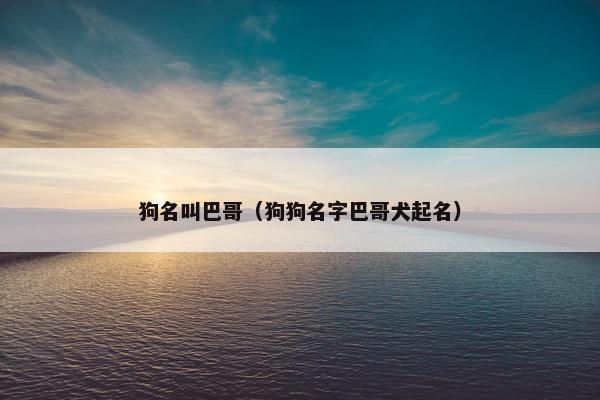 狗名叫巴哥（狗狗名字巴哥犬起名）