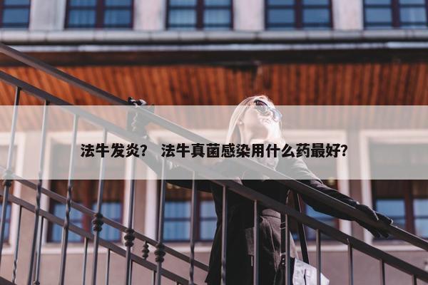 法牛发炎？ 法牛真菌感染用什么药最好？