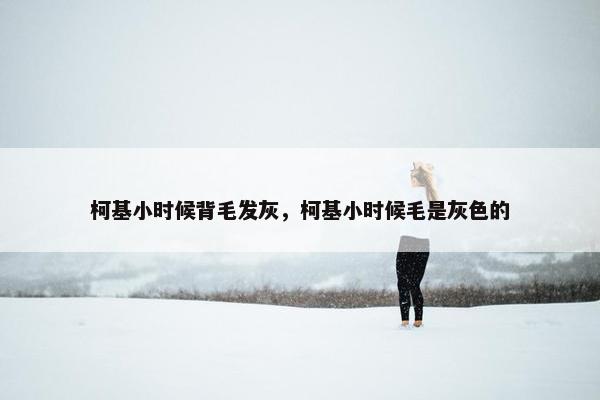 柯基小时候背毛发灰，柯基小时候毛是灰色的
