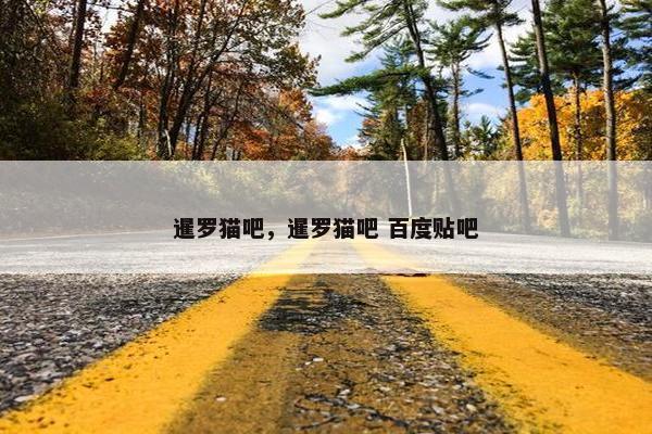 暹罗猫吧，暹罗猫吧 百度贴吧