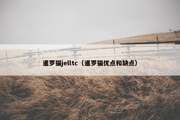 暹罗猫jelltc（暹罗猫优点和缺点）