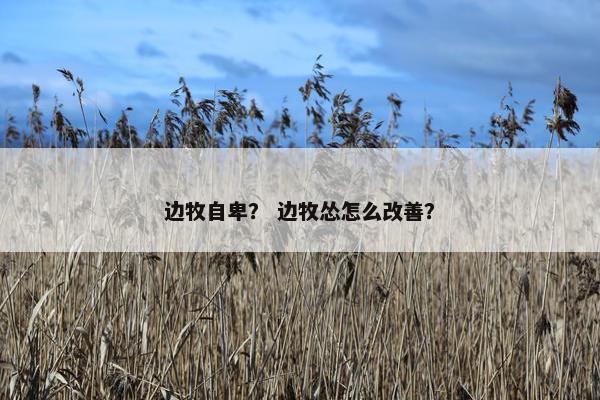 边牧自卑？ 边牧怂怎么改善？