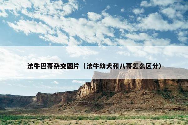 法牛巴哥杂交图片（法牛幼犬和八哥怎么区分）