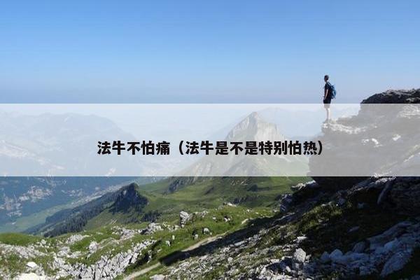 法牛不怕痛(法牛是不是特别怕热) 法牛不怕痛(法牛是不是特别怕热)