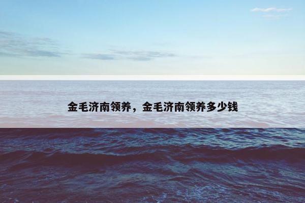 金毛济南领养，金毛济南领养多少钱