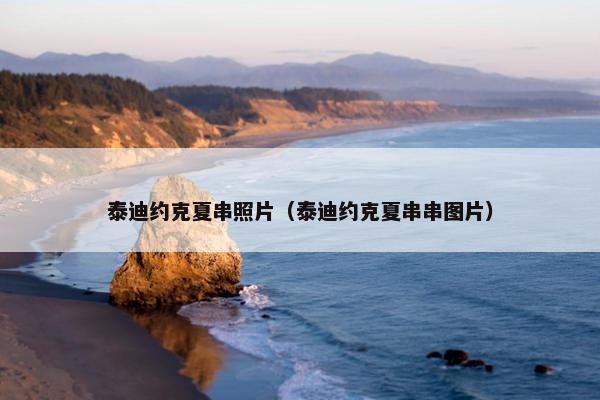 泰迪约克夏串照片（泰迪约克夏串串图片）