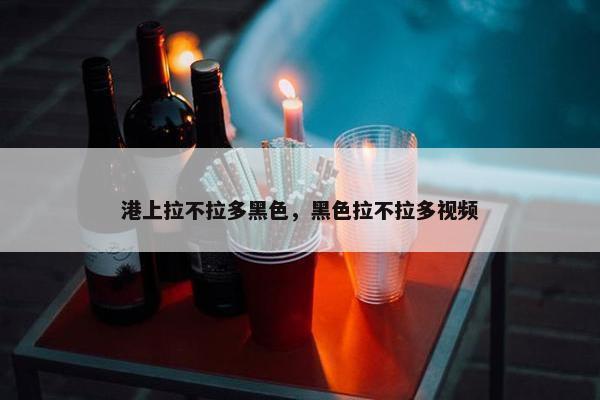 港上拉不拉多黑色，黑色拉不拉多视频