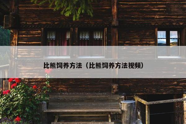 比熊饲养方法（比熊饲养方法视频）