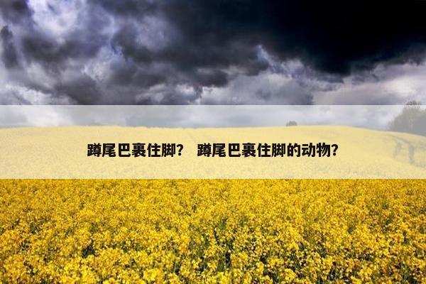蹲尾巴裹住脚？ 蹲尾巴裹住脚的动物？
